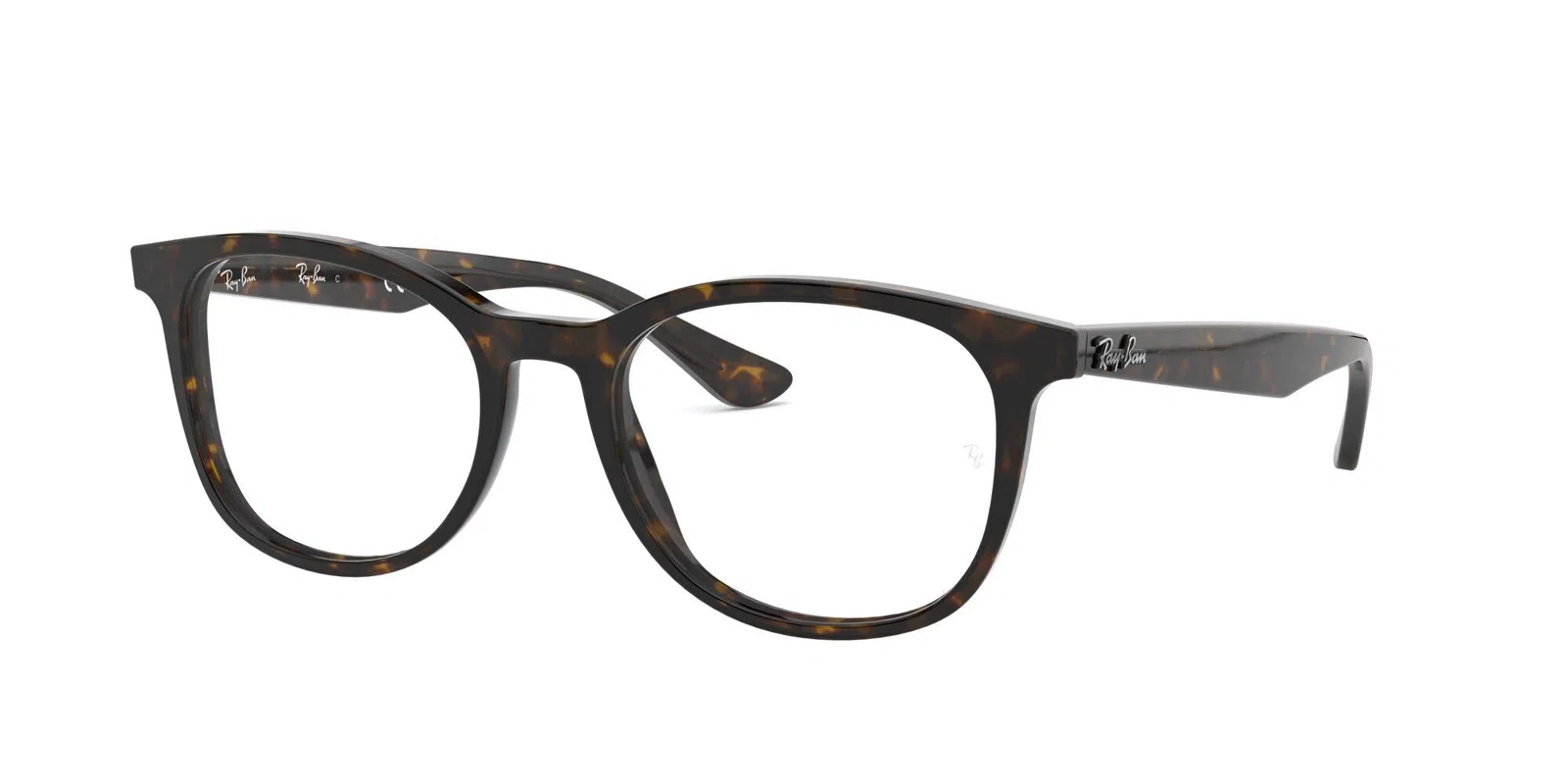 Ray-Ban 5356 Eyeglasses - view 28